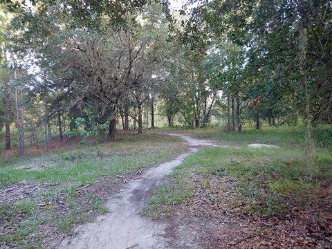 Seminole-Wekiva Trail, Markham Trailhead, Seminole County, Florida biking