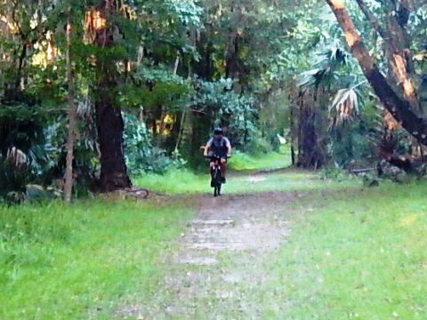 Seminole-Wekiva Trail, Markham Trailhead to Wekiva River, Seminole County, Florida biking